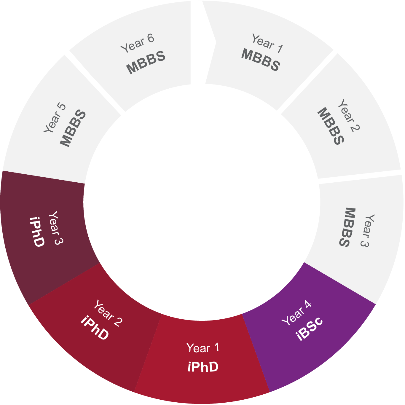 Timeline showing how intercalated phd fits in medical degree